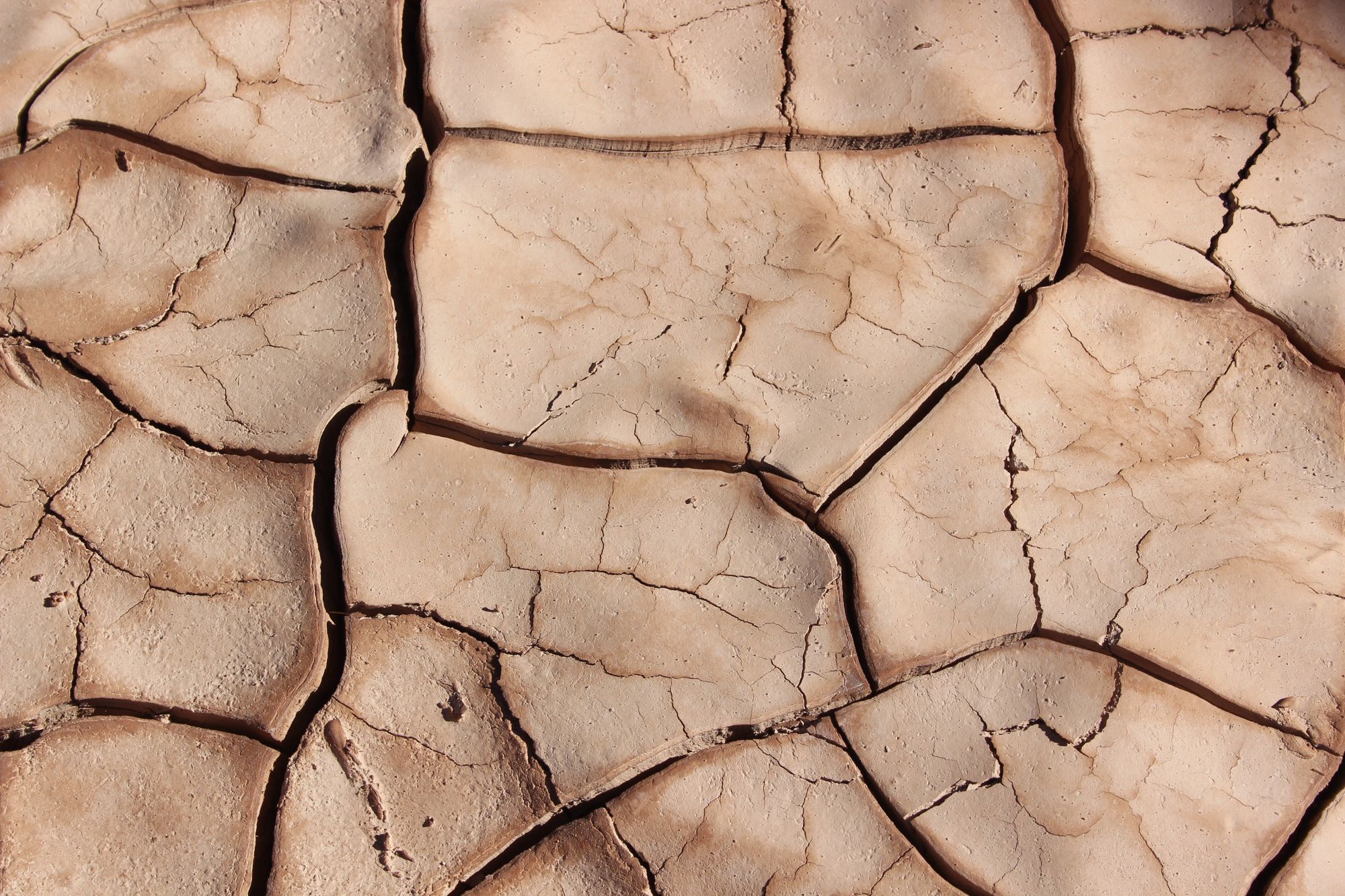 Picture of a dried mudplain, with cracked soil.